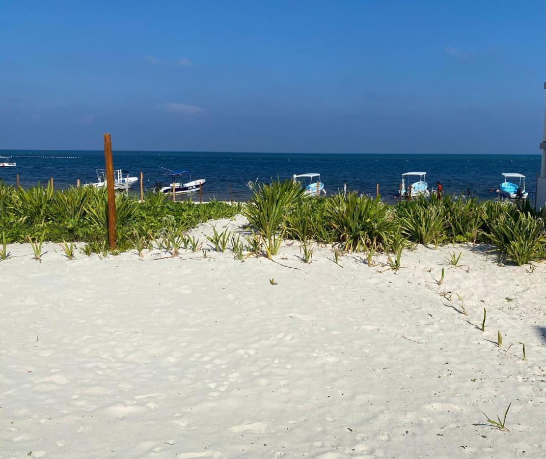 Casa Lucia Beachfront プエルト・モレロス エクステリア 写真