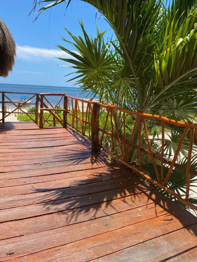 Casa Lucia Beachfront プエルト・モレロス エクステリア 写真