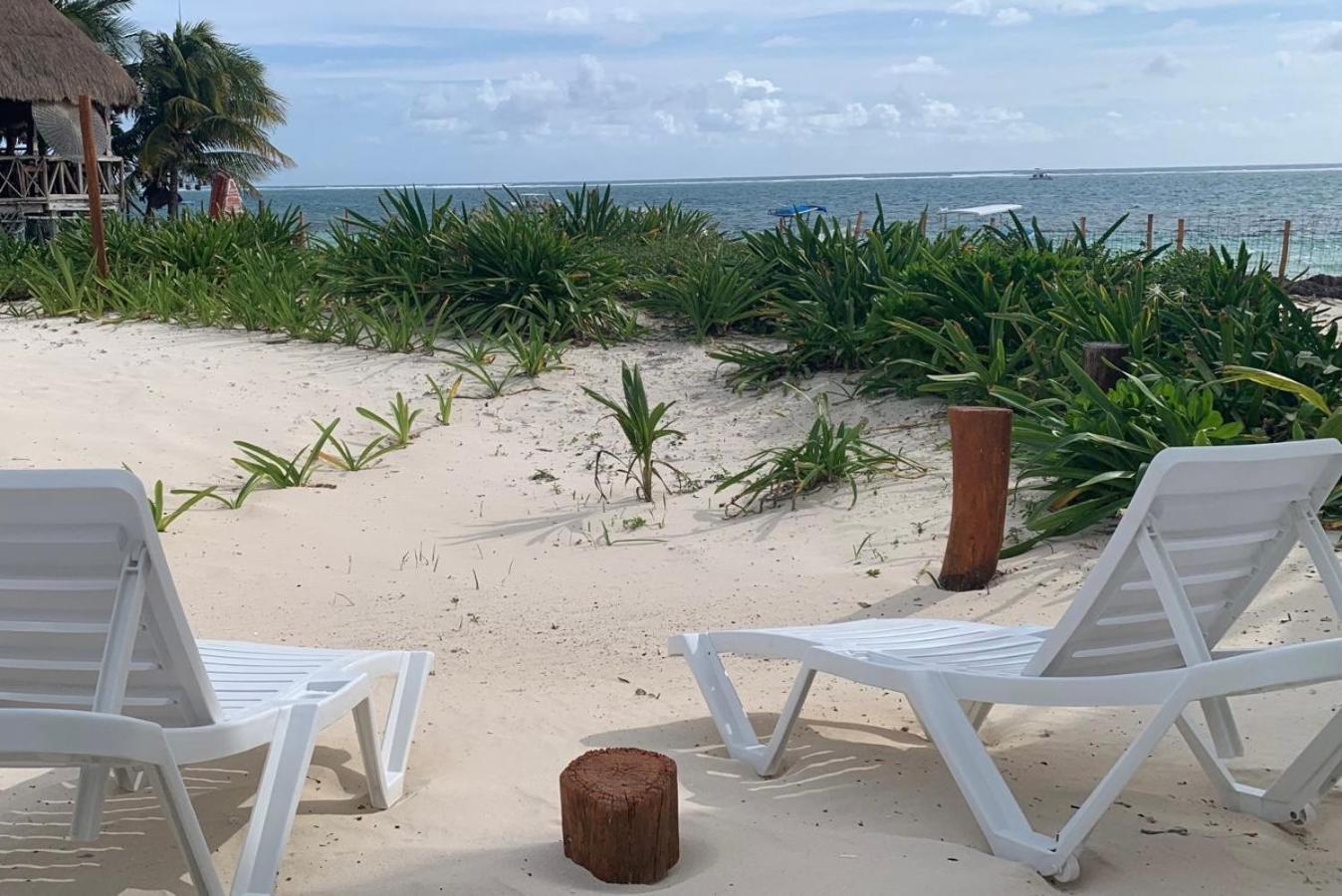 Casa Lucia Beachfront プエルト・モレロス エクステリア 写真